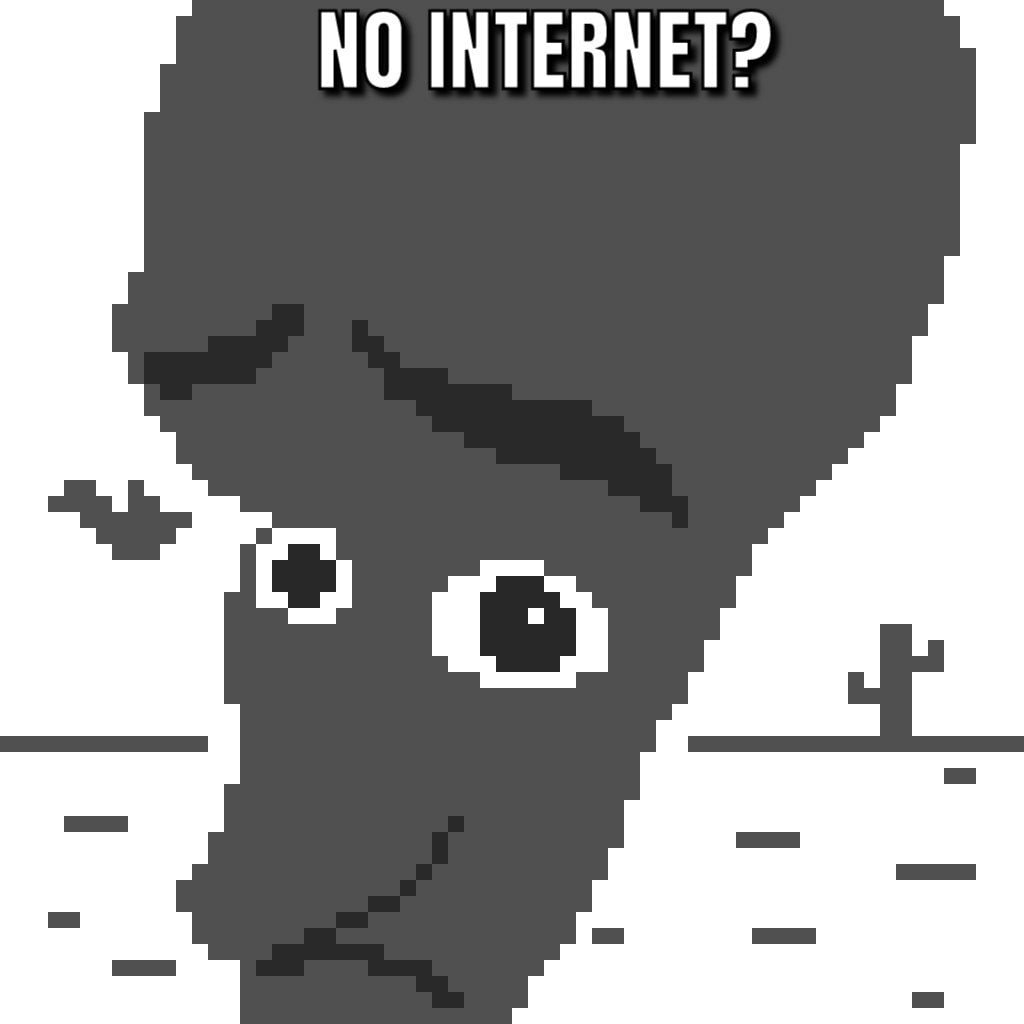 NO INTERNET?