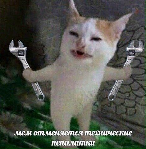 А и А MEM отменяется технические непалатки