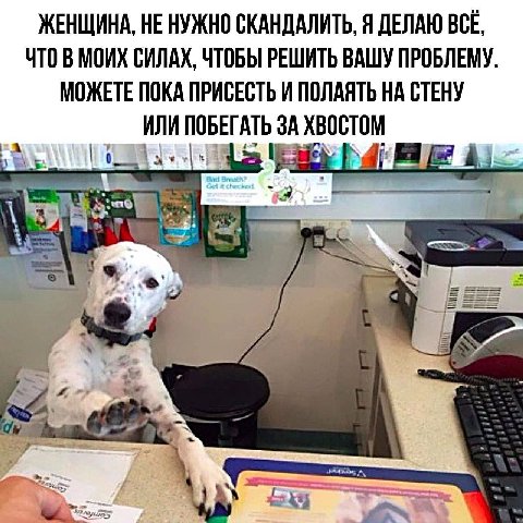 ЖЕНЩИНА, НЕ НУЖНО СКАНДАЛИТЬ, Я ДЕЛАЮ BCE, ЧТОВМОИХ СИЛАХ, ЧТОБЫ РЕШИТЬ ВАШУ ПРОБЛЕМУ. МОЖЕТЕ ПОКА ПРИСЕСТЬ И ПОЛАЯТЬ НА СТЕНУ ИЛИ ПОБЕГАТЬ ЗА ХВОСТОМ 41 of 5: A в
