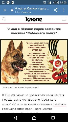 22 18:03 9 мая в Южном парке https://klops.ru 9 мая в Южном парке состоится шествие "Собачьего полка" По официальной статистике во время Великой Отечественной войны СОБАКИ вытащили с поля боя около 70