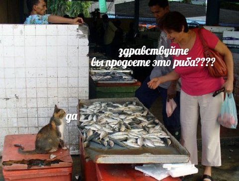 авствуйте это риба????