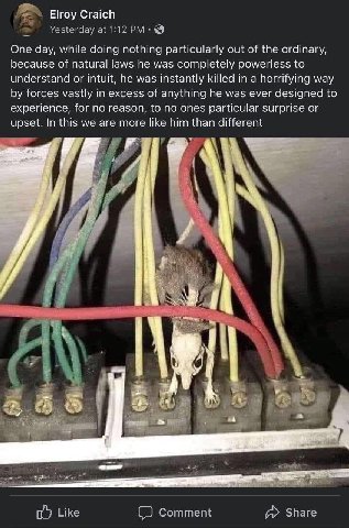 Elroy Craich Yesterday at 1:12 One day, while doing nothing particularly out of the ordinary, because of natural laws he was completely powerless to understand or intuit, he was instantly killed in a 