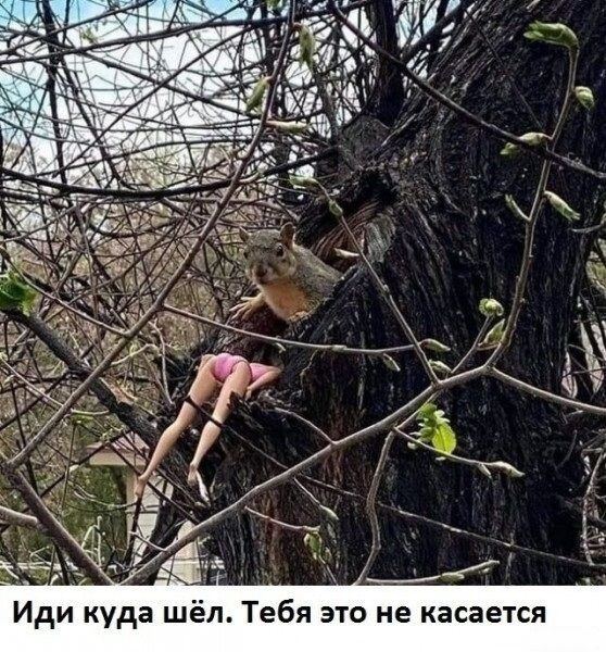 А 13 Vig 1 у у Иди куда шёл. Тебя это He касается