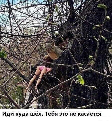 А 13 Vig 1 у у Иди куда шёл. Тебя это He касается