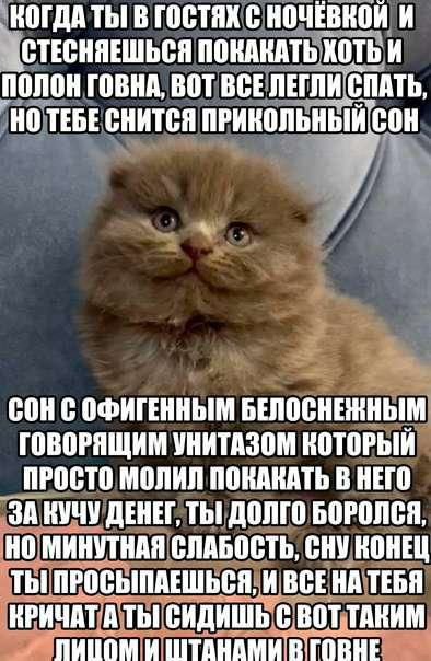 КОГДА ТЫ! В ГОСТЯХ С НОЧЕВКОИ СТЕСНЯЕШЬСЯ ПОКАКАТЬ ХОТЬ И ПОЛОН ГОВНА, BOT BCE ЛЕГЛИ СПАТЬ НО ТЕБЕ СНИТСЯ ОФИГЕННЫМ БЕЛОСНЕННЫМ ГОВОРЯЩИМ УНИТАЗОМ КОТОРЫЙ ПРОСТО МОЛИЛ ПОКАКАТЬ В НЕГО ЗА НУЧУ ДЕНЕГ, T