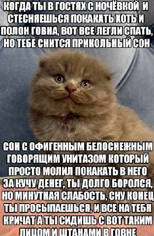 КОГДА ТЫ! В ГОСТЯХ С НОЧЕВКОИ СТЕСНЯЕШЬСЯ ПОКАКАТЬ ХОТЬ И ПОЛОН ГОВНА, BOT BCE ЛЕГЛИ СПАТЬ НО ТЕБЕ СНИТСЯ ОФИГЕННЫМ БЕЛОСНЕННЫМ ГОВОРЯЩИМ УНИТАЗОМ КОТОРЫЙ ПРОСТО МОЛИЛ ПОКАКАТЬ В НЕГО ЗА НУЧУ ДЕНЕГ, T