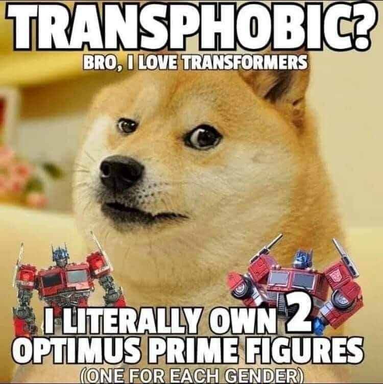 2 TRANSPHOBI BRO, LOVE TRANSFORMERS a LITERALLY OWN OPTIMUS PRIME FIGURES (ONE FOR EACH GENDER)