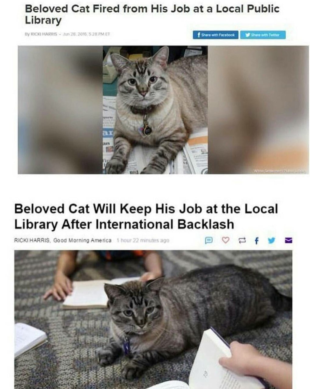 Не смейте увольнять котиков.