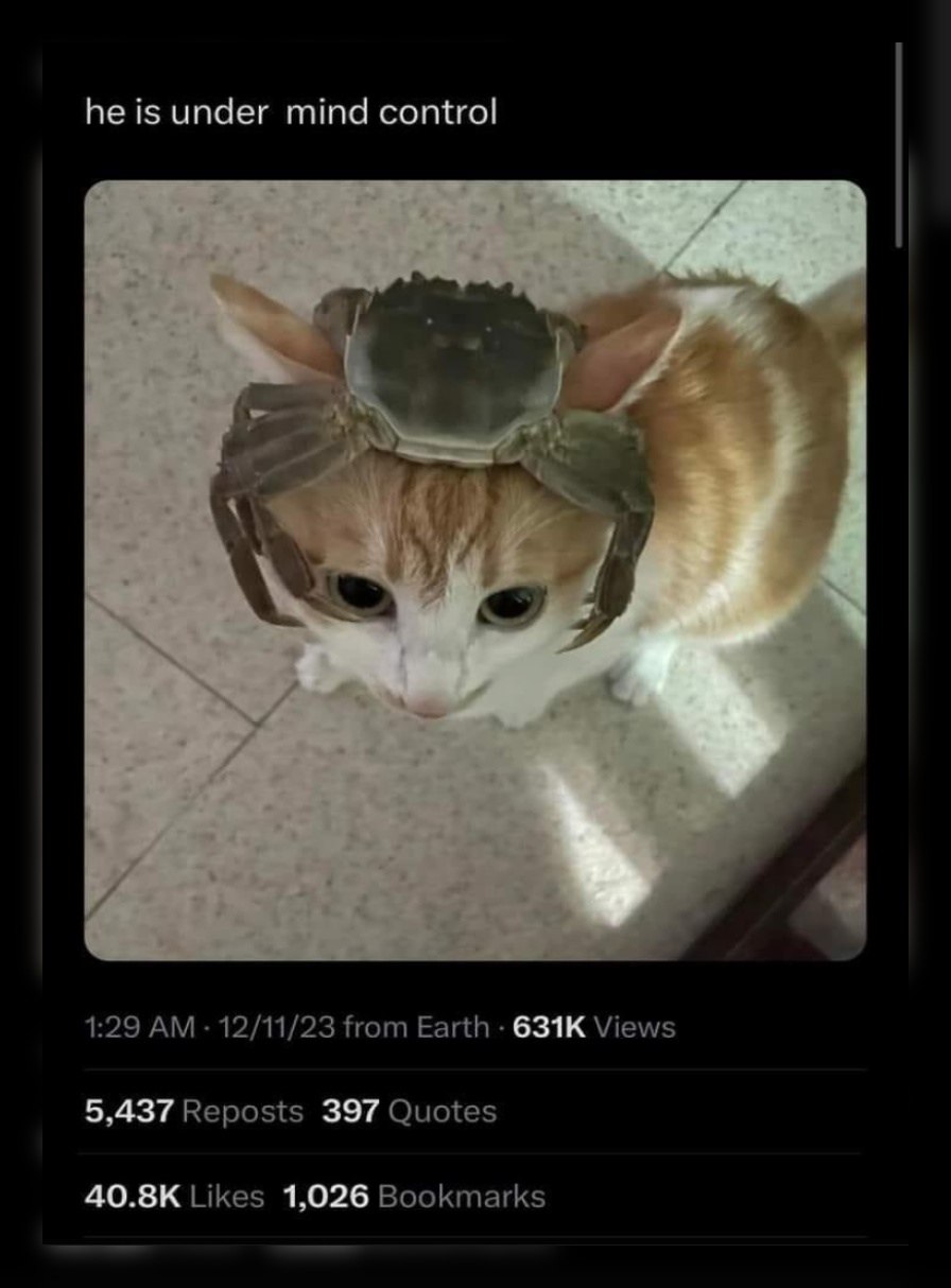 he is under mind control 1:29 12/11/23 from Earth Views 5,437 Reposts 397 Quotes Likes 1,026 Bookmarks