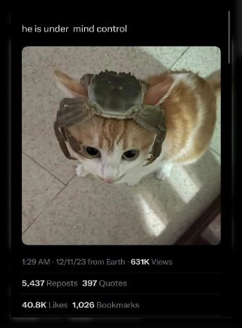 he is under mind control 1:29 12/11/23 from Earth Views 5,437 Reposts 397 Quotes Likes 1,026 Bookmarks