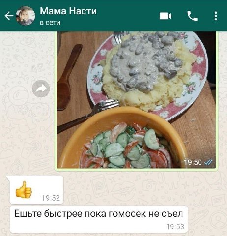 Мама Насти в сети 19:52 Ешьте быстрее пока гомосек не съел 19:53