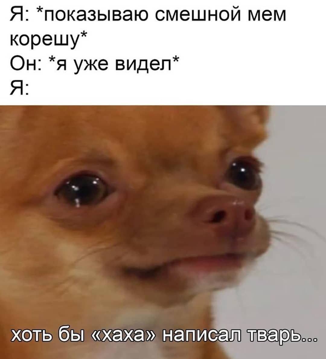 Я: *показываю смешной мем корешу* *я уже видел* A бы «хаха» написам