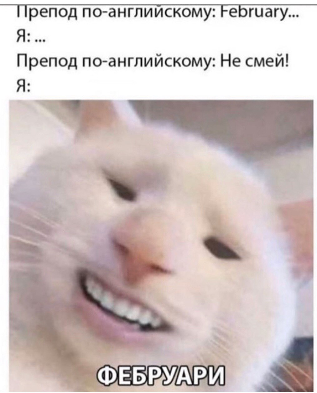 Препод по-английскому: February... Препод по-английскому: Не смей! Я: ФЕБРУАРИ