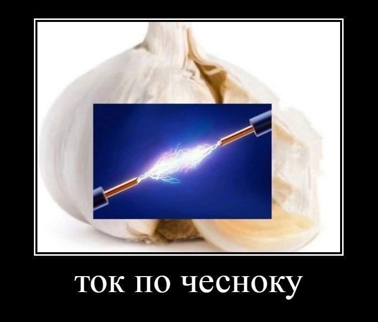 ток по чесноку