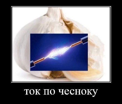 ток по чесноку