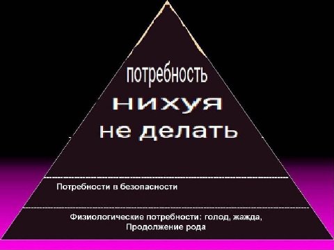 потребность не делать Потребности в безопасности Физиологические потребности: голод, жажда Продолжение рода