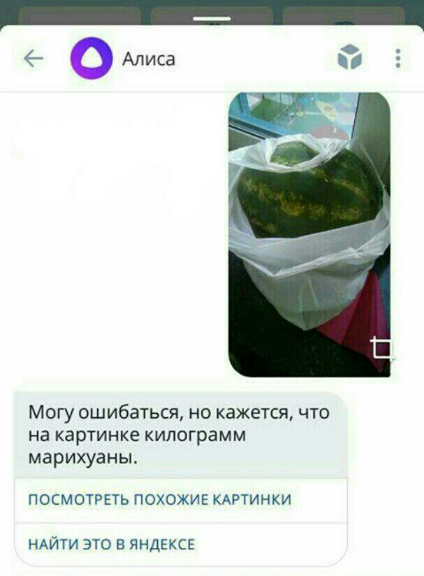 Алиса as Могу ошибаться, но кажется, что на картинке килограмм марихуаны. ПОСМОТРЕТЬ ПОХОЖИЕ КАРТИНКИ НАЙТИ ЭТО В ЯНДЕКСЕ