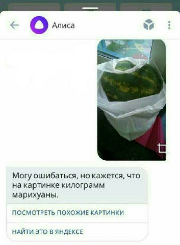 Алиса as Могу ошибаться, но кажется, что на картинке килограмм марихуаны. ПОСМОТРЕТЬ ПОХОЖИЕ КАРТИНКИ НАЙТИ ЭТО В ЯНДЕКСЕ