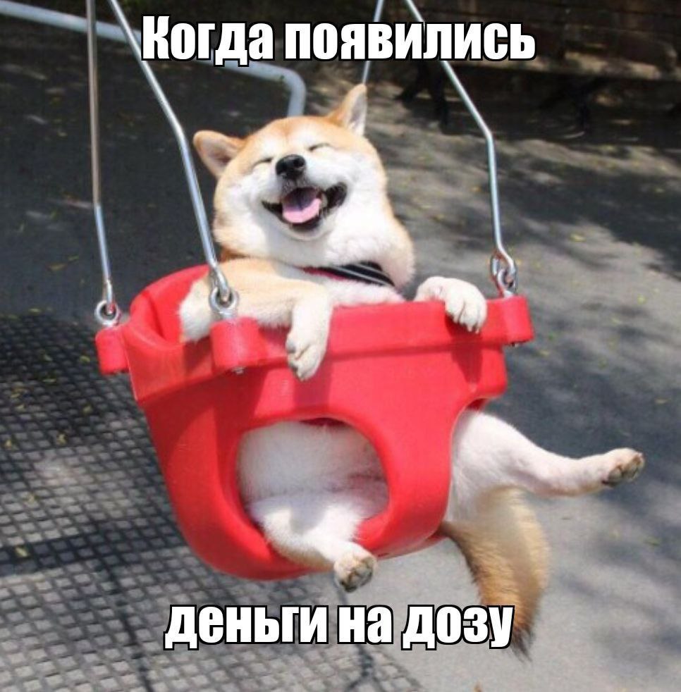\Когда появились деньги на дозу