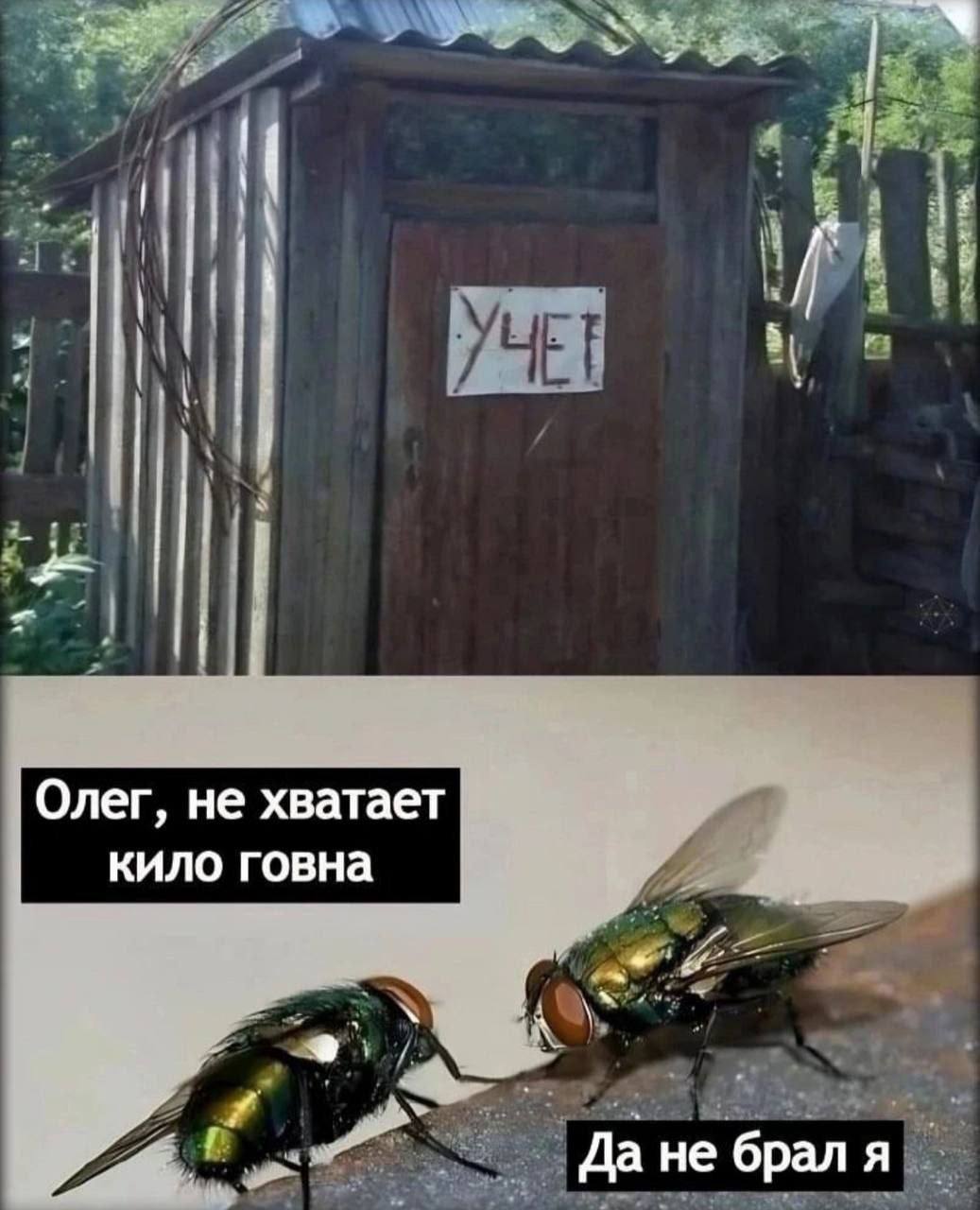 4 Олег, не хватает кило говна Да не брал я