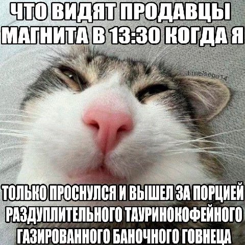 ПРОДАВ lib МАГНИТАВ 2% at, Be TONBKONPOC НУЛЯ ЗА ПОРЦИЕЙ ЗДУПЛИТЕЛЬ ГАЗИРОВАННОГО БАНОЧНОГО ГОВНЕ