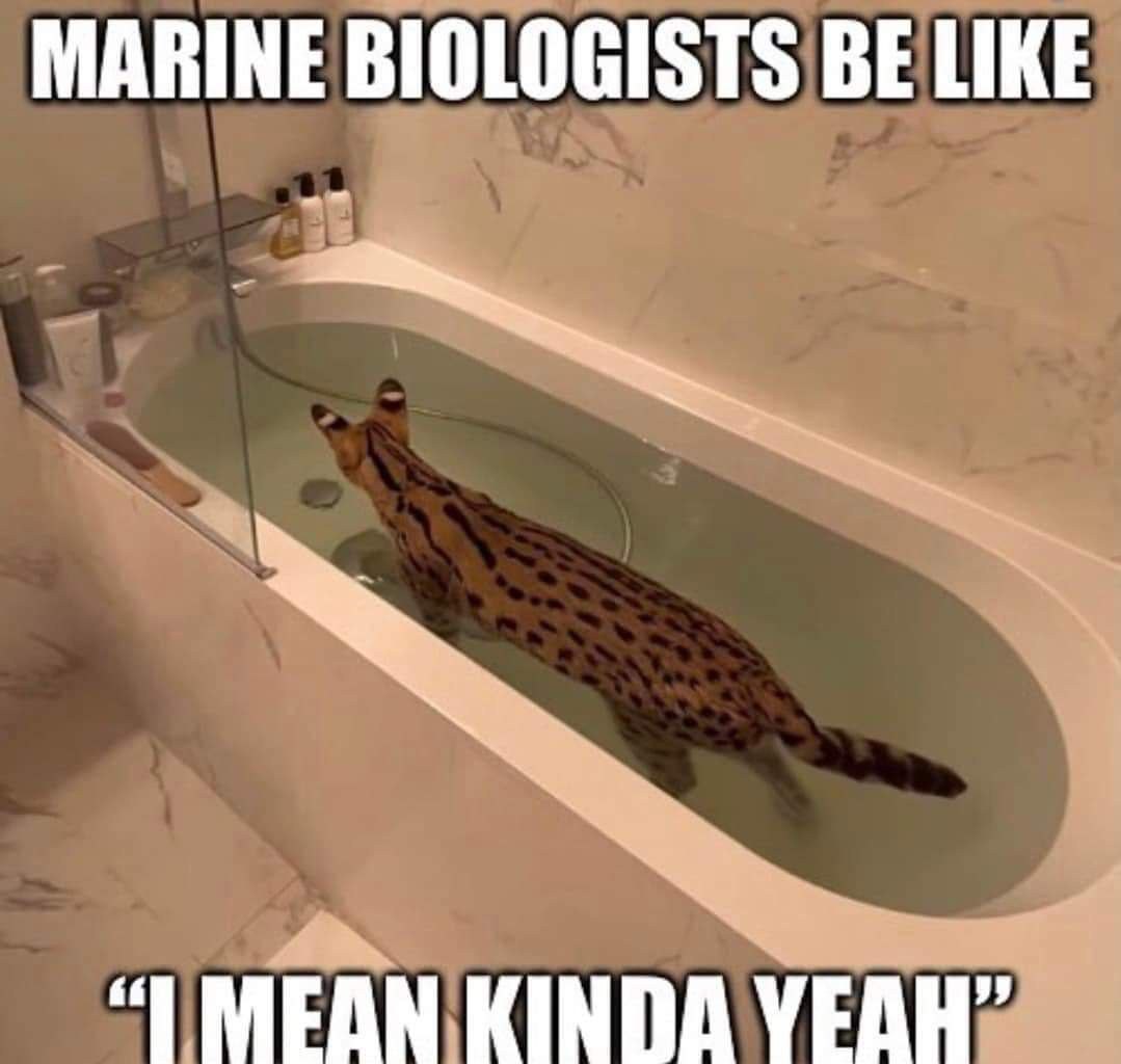 MARINE BIOLOGISTS BE LIKE MEAN KINDA