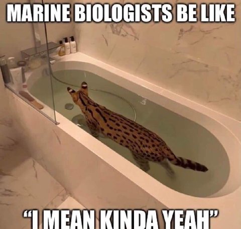 MARINE BIOLOGISTS BE LIKE MEAN KINDA