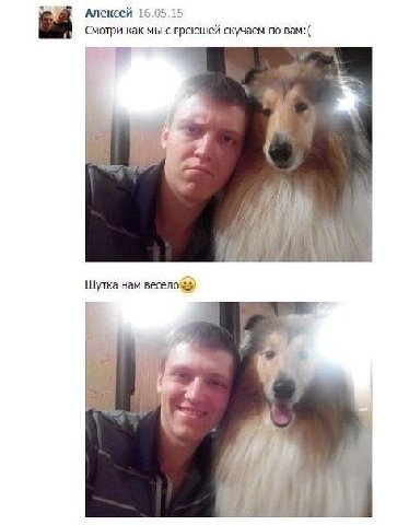 Алексей 6 15 Смотри как мы с греюшей скучаем по вам:( Шутка нам