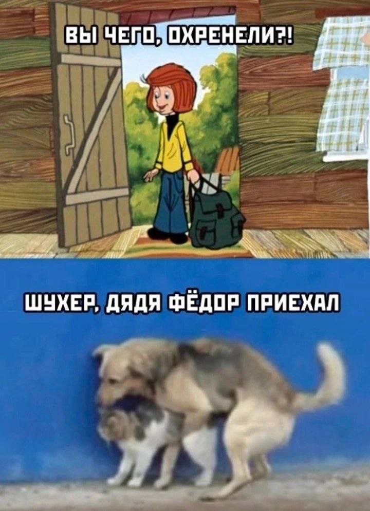 ВЫ ЧЕГО ОХРЕНЕЛИ?! hid ШУХЕР, ДЯДЯ ФЕДОР ПРИЕХАЛ