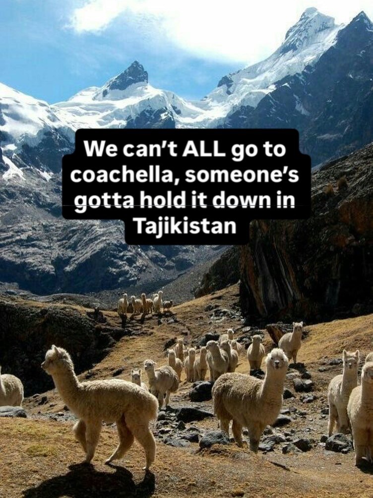 ALL goto coachella, зотеопе'$ hold it down in Tajikistan a