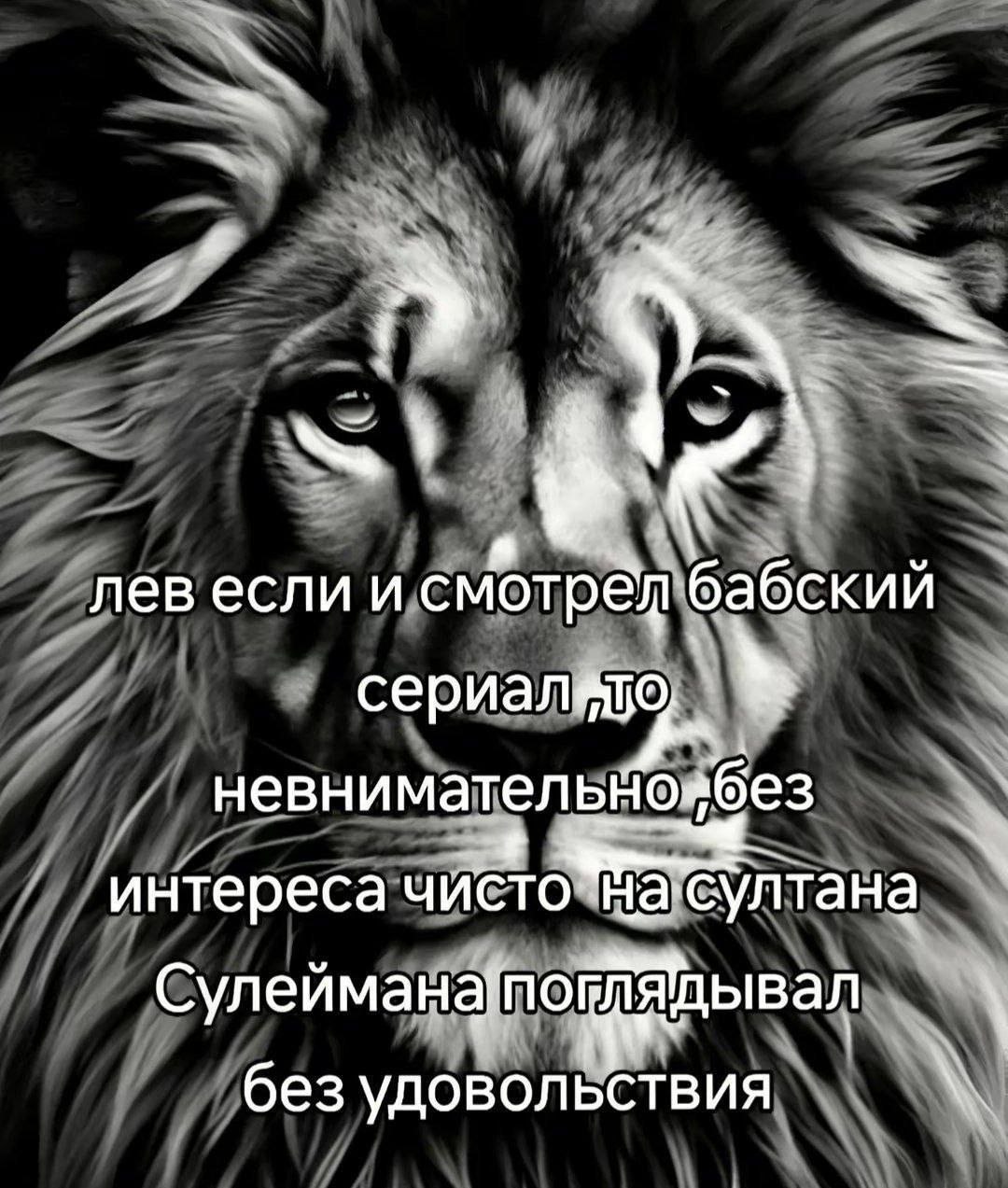 лев если и смотрёд бабский сериал var невнимательМоябез интереса без удовольствия