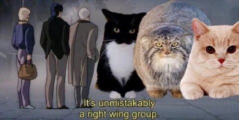 It's unmistakably а right wing group.