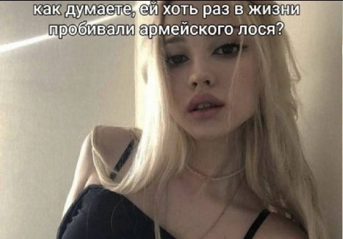 как маете хоть раз в жизни пробивалиармейского лося?