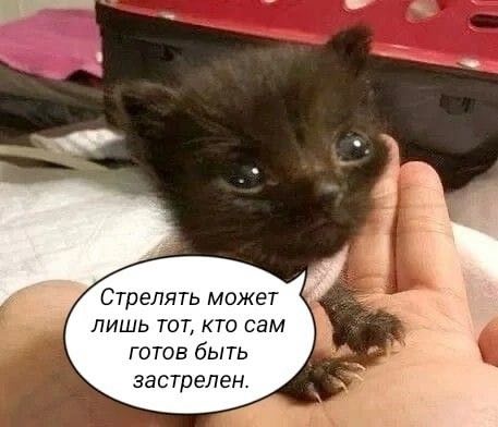Стрелять может лишь тот, кто сам готов быть застрелен.