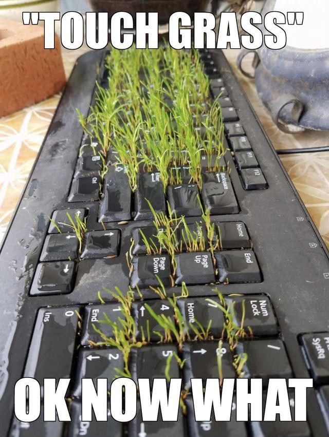 ‘OUCH GRAS и a и А о? =5 =a NOW WHAT