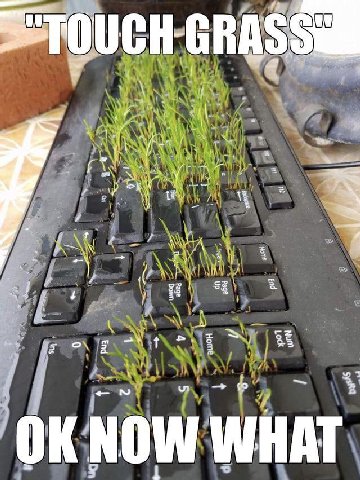 ‘OUCH GRAS и a и А о? =5 =a NOW WHAT