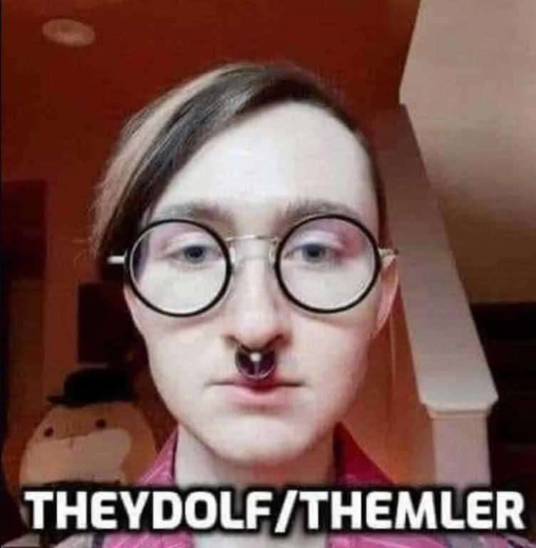 a THEYDOLF/THEMLER