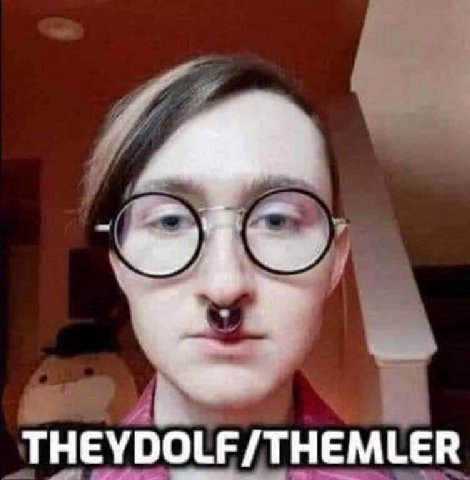 a THEYDOLF/THEMLER