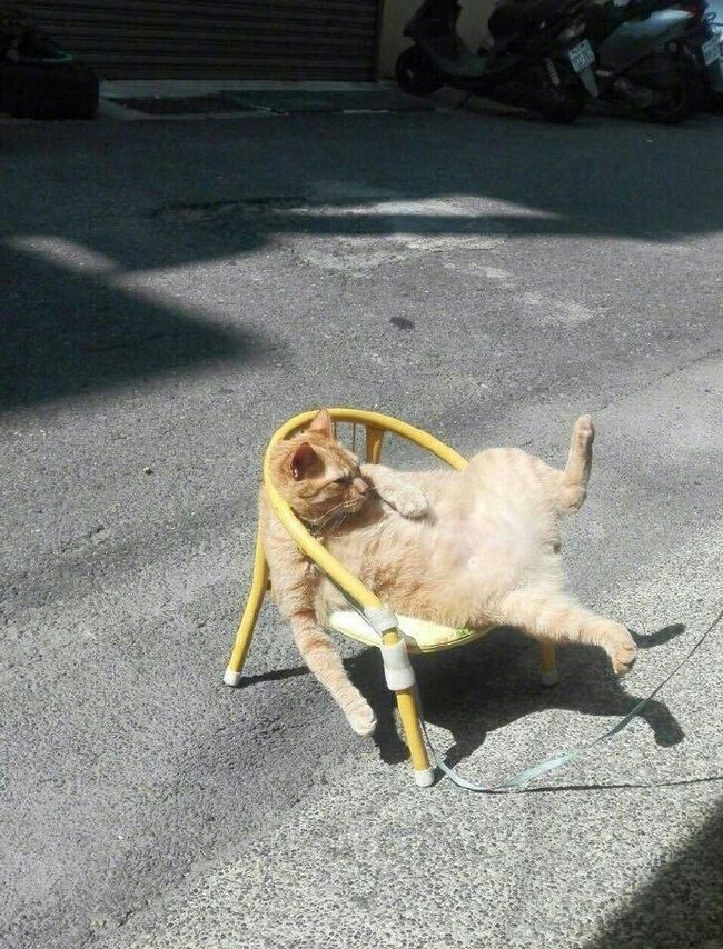 ame у у у за 5 в 5