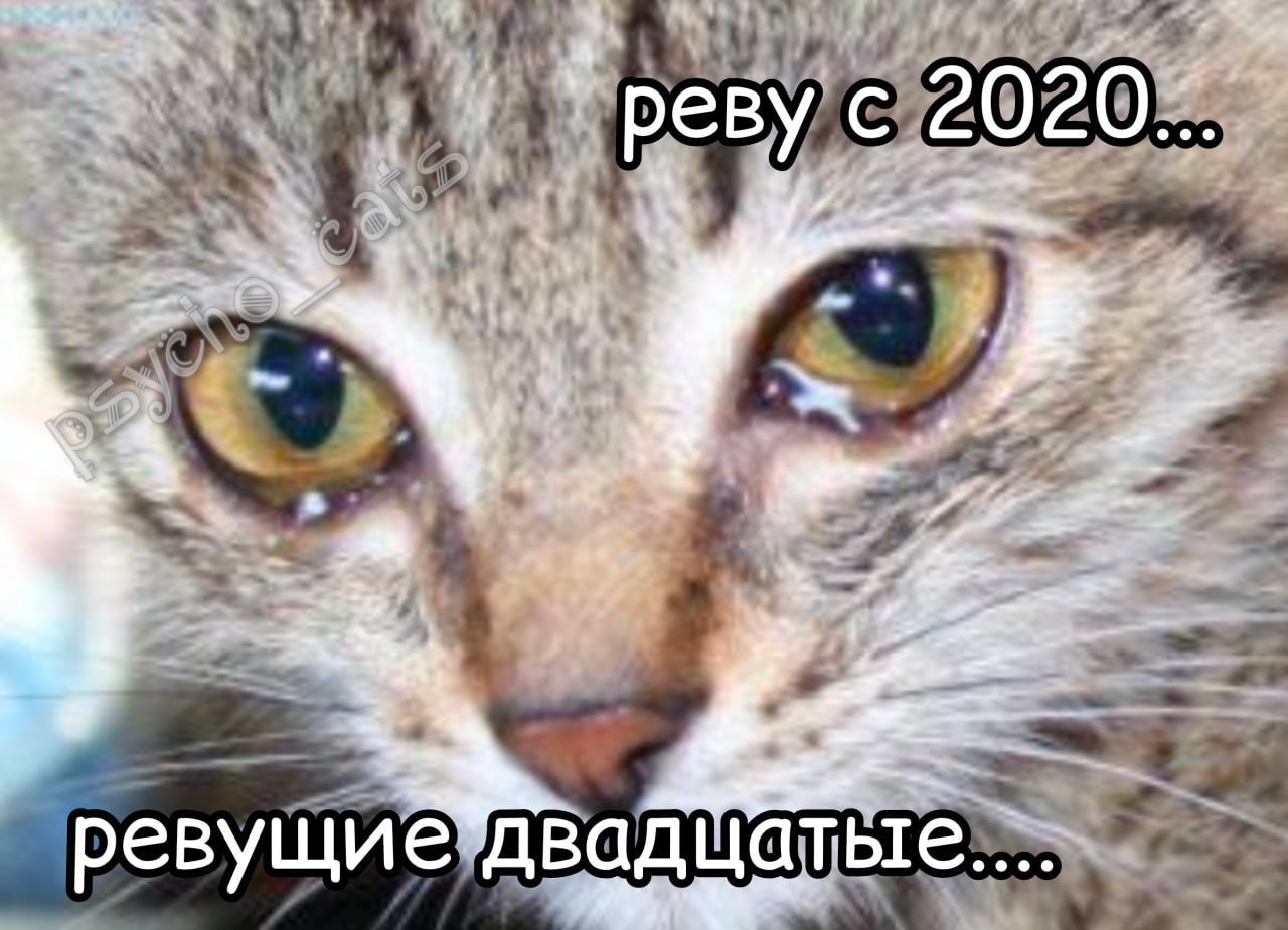 реву с 2020... a евущие”двадцатые.... реву