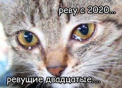реву с 2020... a евущие”двадцатые.... реву