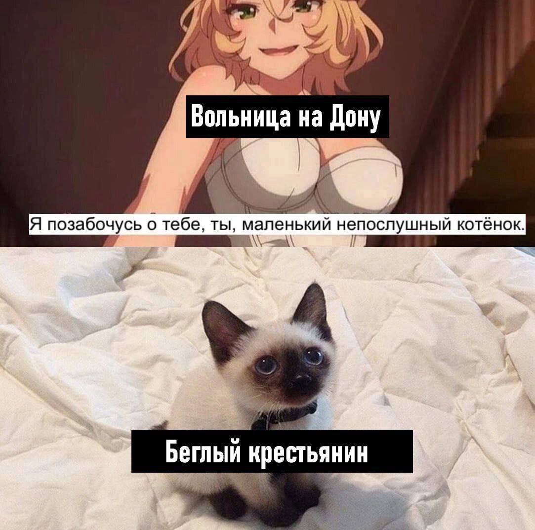 Вольница на Дону и у Я позабочусь о тебе, ты, маленький непослушный котёнок. Беглый крестьянин