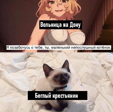 Вольница на Дону и у Я позабочусь о тебе, ты, маленький непослушный котёнок. Беглый крестьянин
