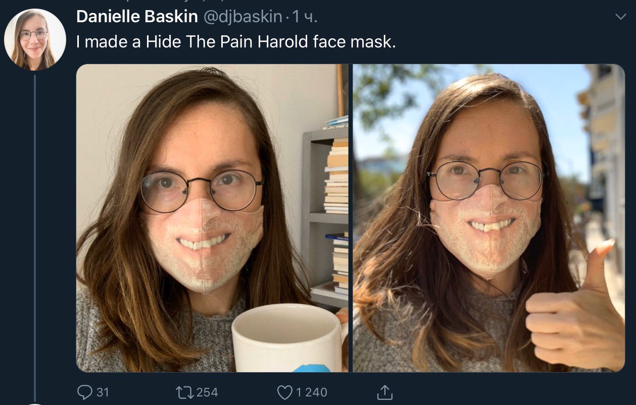 Danielle Baskin made a Hide The Pain Harold face mask. и