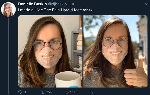 Danielle Baskin made a Hide The Pain Harold face mask. и