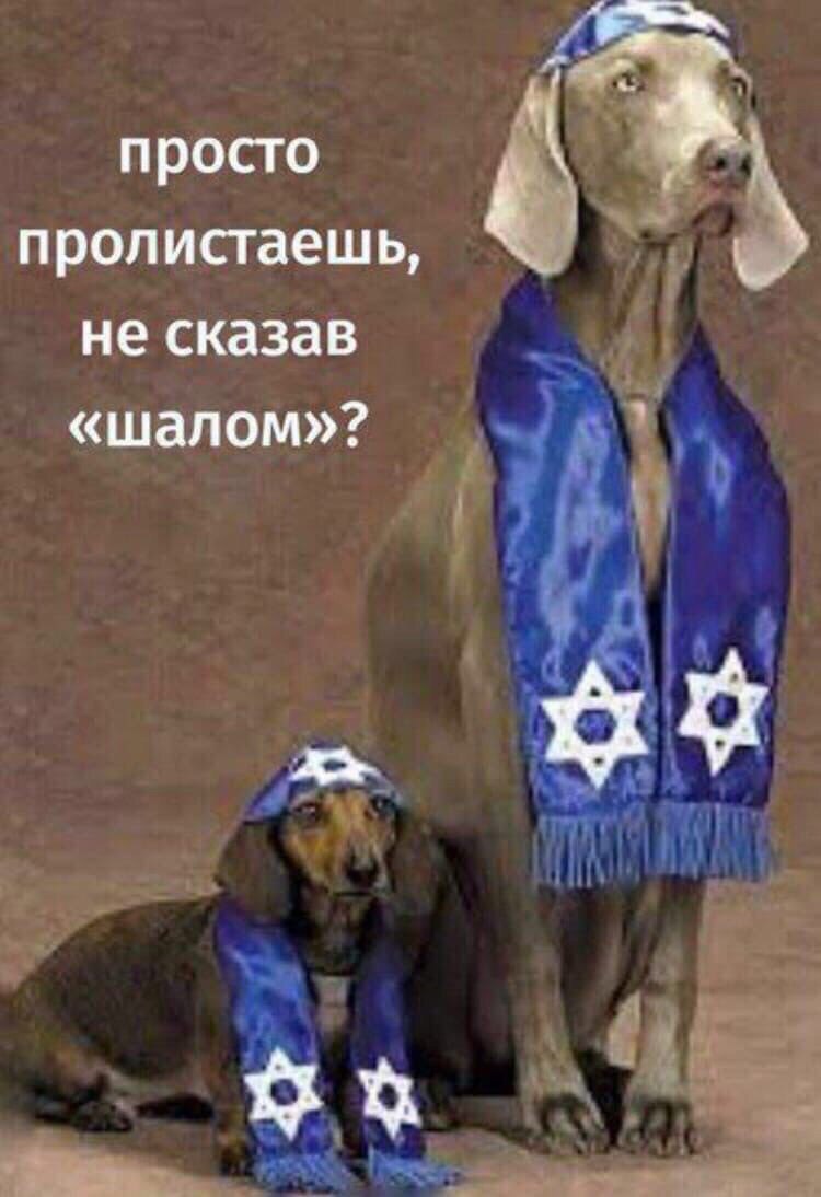 просто пролистаешь, не сказав «шалом»?