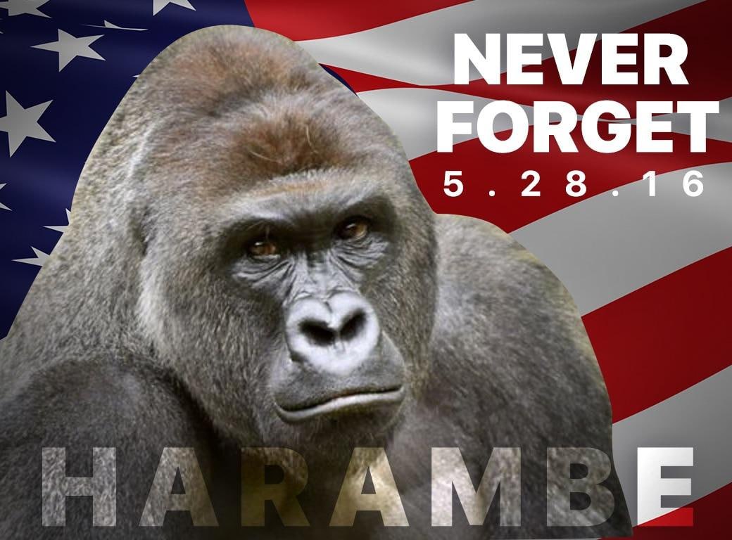 NEVER FORGET
