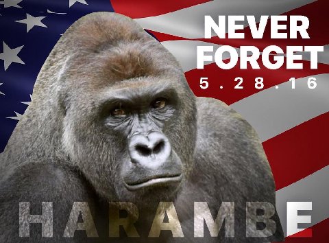 NEVER FORGET