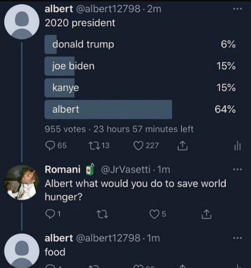 albert 2020 president О 6% donald trump joe biden 15% 15% Капуе albert 64% Romani Albert what would you to save world hunger? albert food a