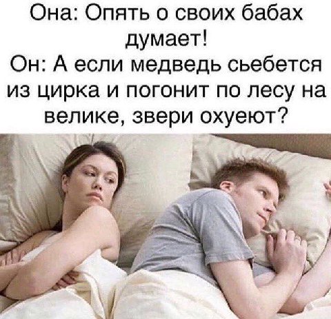 Она: Опять о своих бабах думает! Он: А если медведь сьебется из цирка и погонит по лесу на велике, звери охуеют? 3